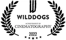Cinematography – Wilddogs Festival 2022
